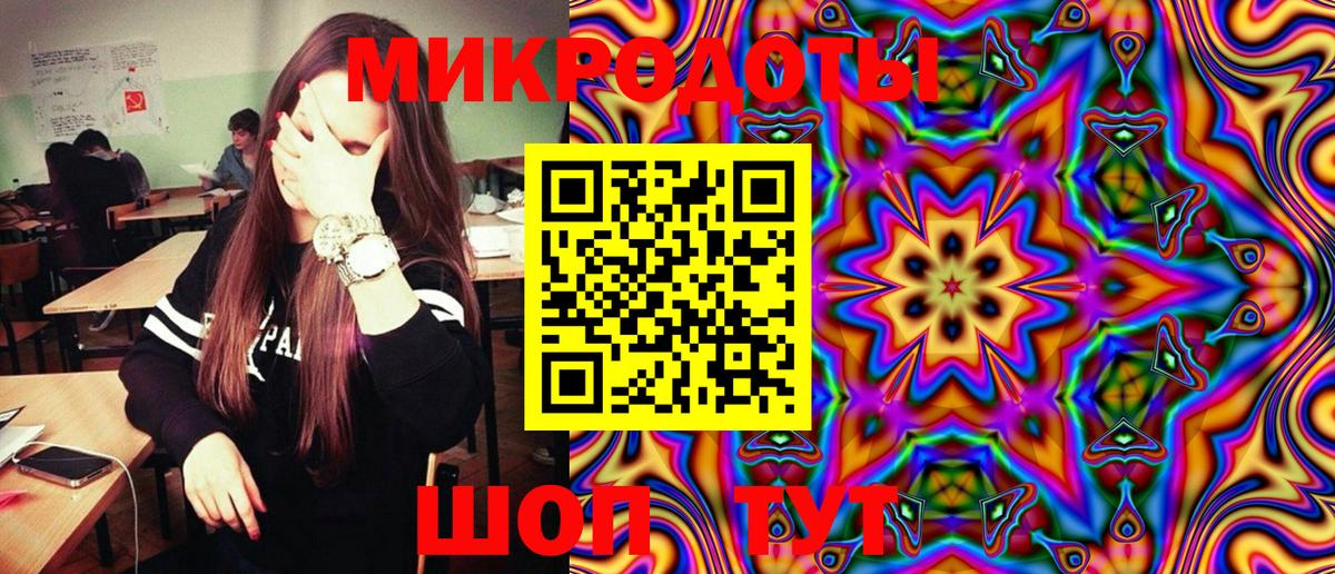 Галлюциногенные грибы Psilocybe Нягань